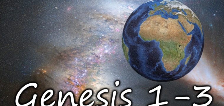 Genesis 1:1-25 (13 January 2019)