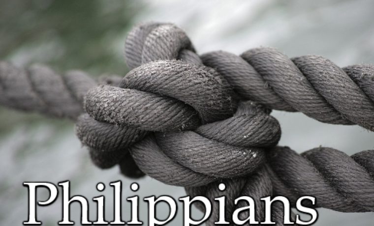 Philippians 2:12-26 (9 February 2020)