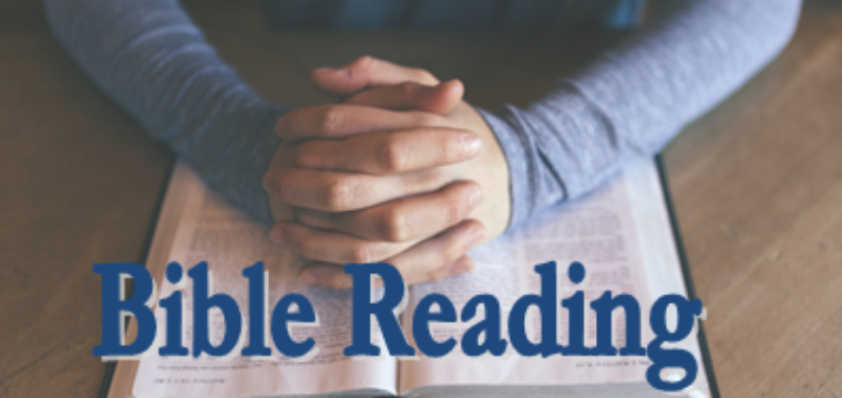 Bible Reading