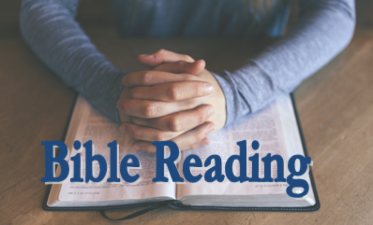 Bible Reading