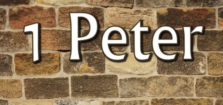 1 Peter 2:21-3:7 (25 November 2018)